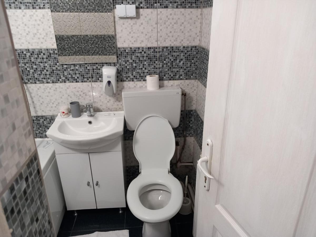 Vila Davison Târgu Jiu Exteriér fotografie