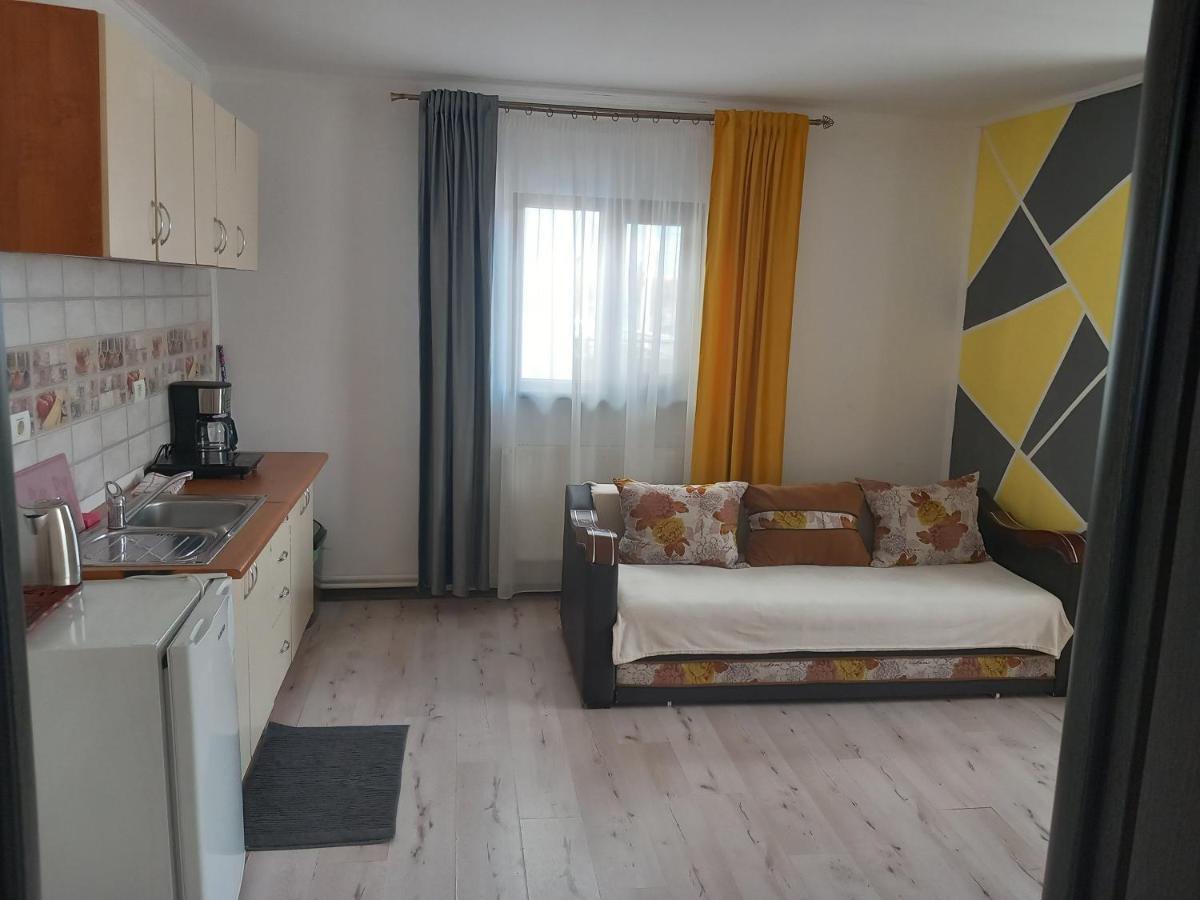 Vila Davison Târgu Jiu Exteriér fotografie