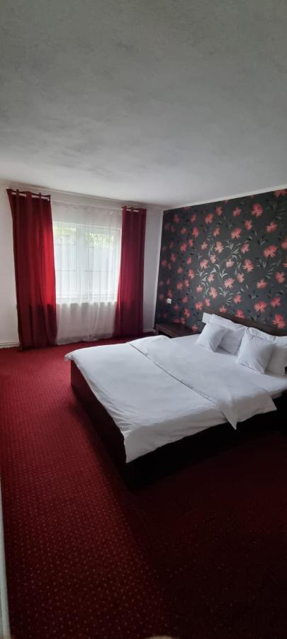 Vila Davison Târgu Jiu Exteriér fotografie