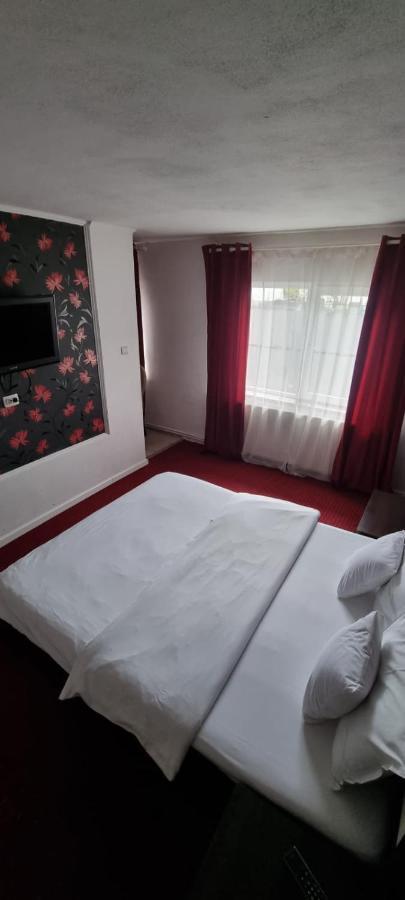 Vila Davison Târgu Jiu Exteriér fotografie
