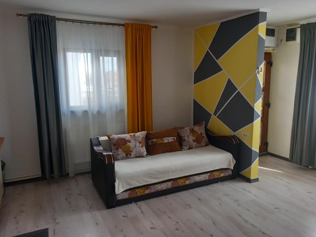 Vila Davison Târgu Jiu Exteriér fotografie