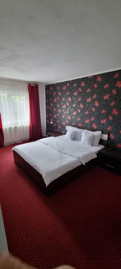 Vila Davison Târgu Jiu Exteriér fotografie