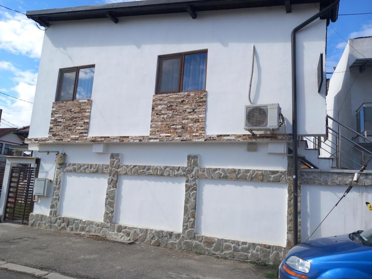 Vila Davison Târgu Jiu Exteriér fotografie