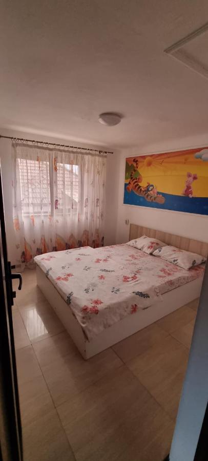 Vila Davison Târgu Jiu Exteriér fotografie